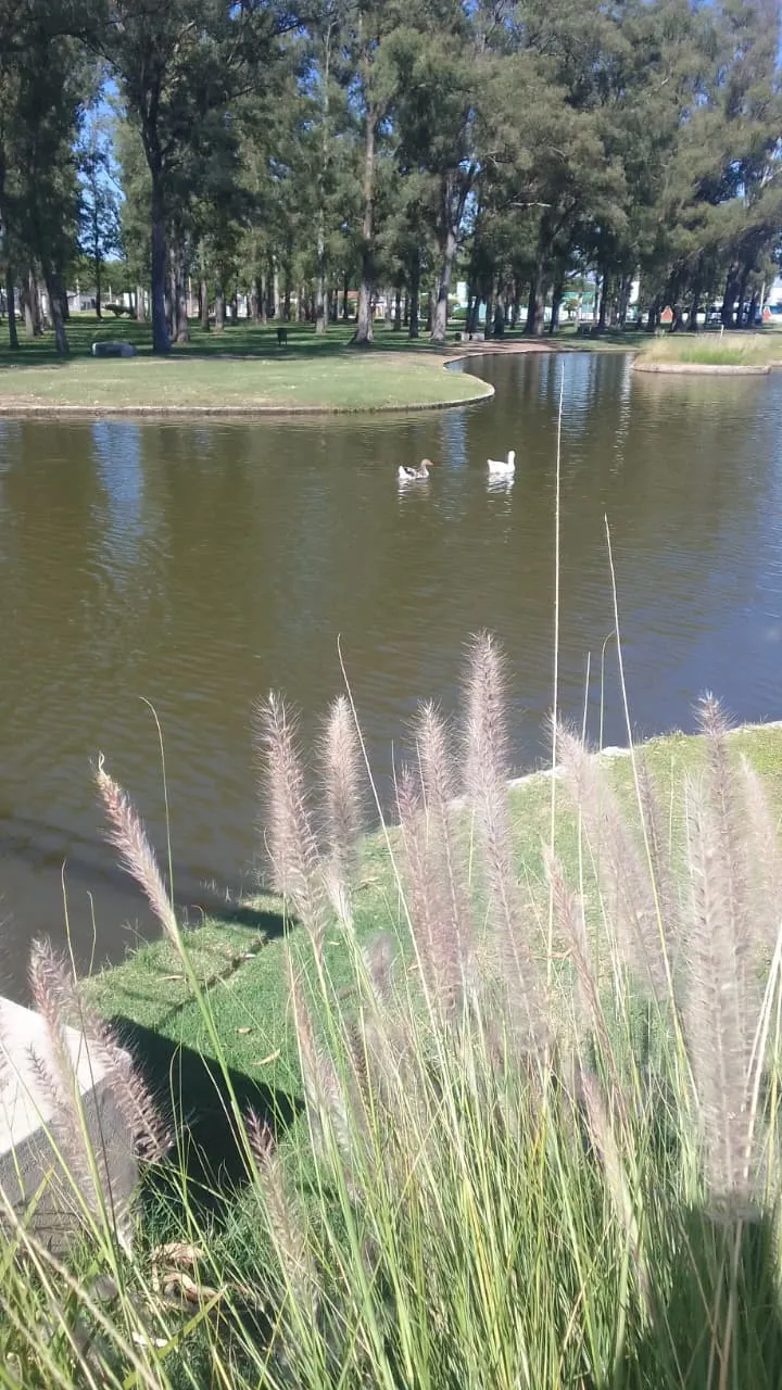 WhatsApp Image 2025-12-23 at 08.36.10lago alicia4