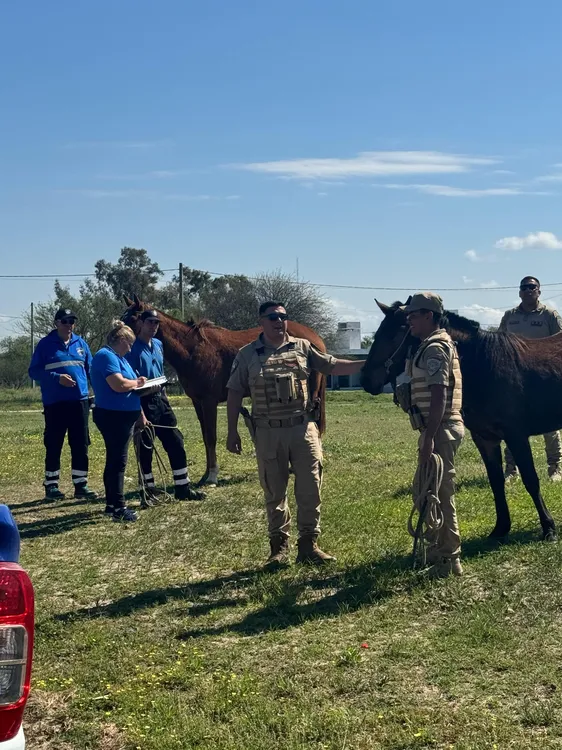 operativo caballos0otra