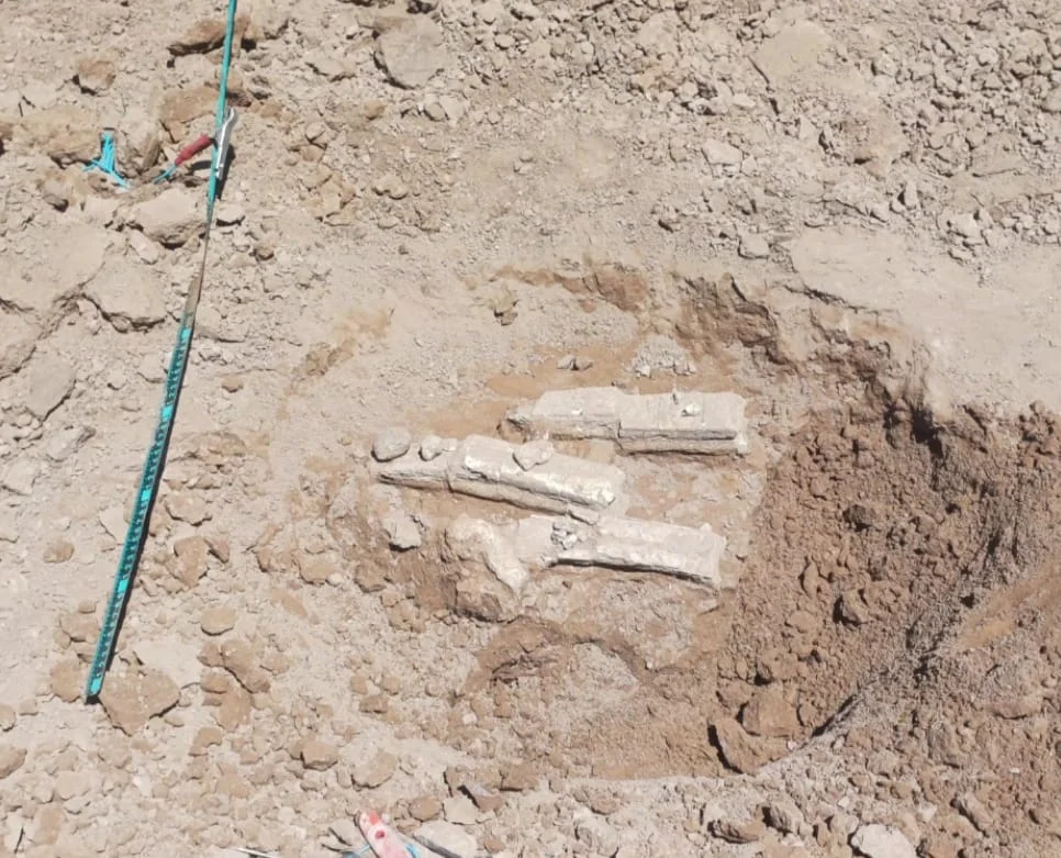 WhatsApp Image 2026-03-18 at 20.43.24restos3