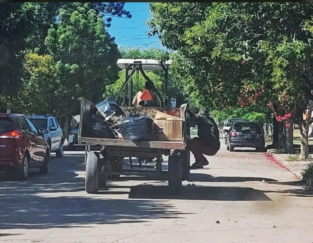 WhatsApp Image 2026-01-15 at 07.30.07recolecioin basura111