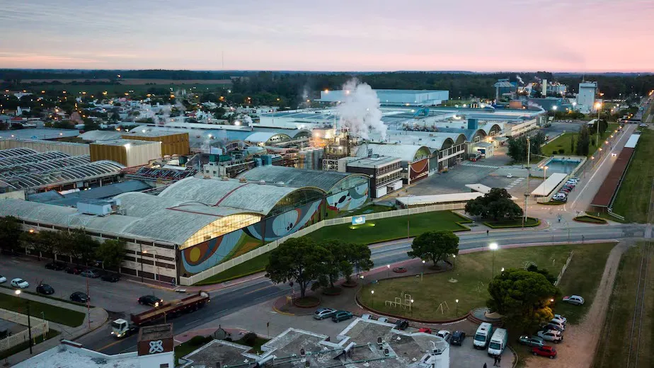 WhatsApp Image 2026-01-29 at 08.54.13ARROYITO11