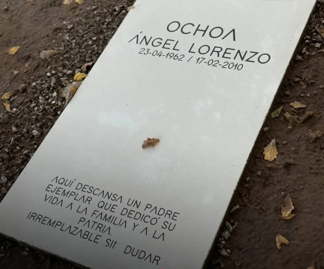 WhatsApp Image 2026-04-02 at 22.00.28nalvinas6