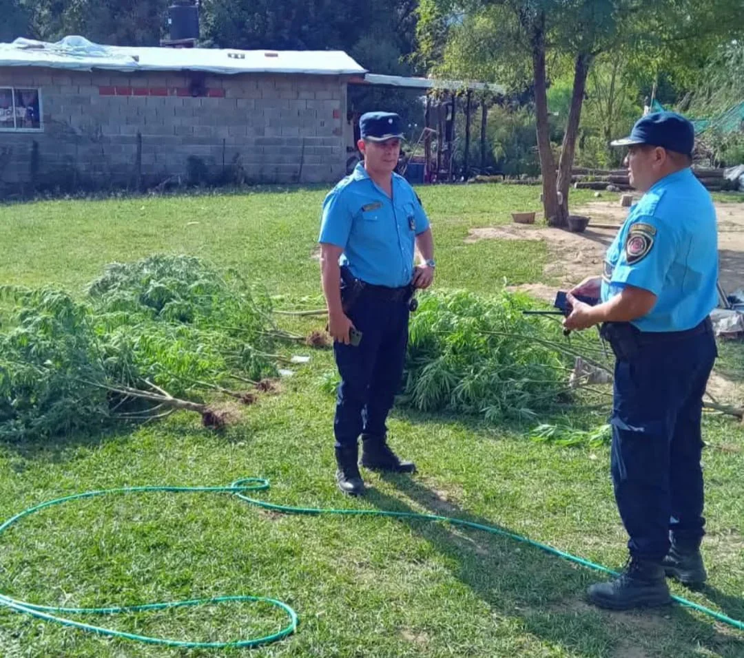 WhatsApp Image 2026-03-20 at 21.04.15policia1