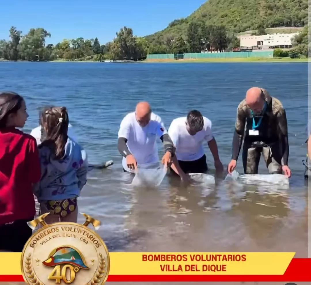 WhatsApp Image 2026-03-22 at 21.05.27viila 1