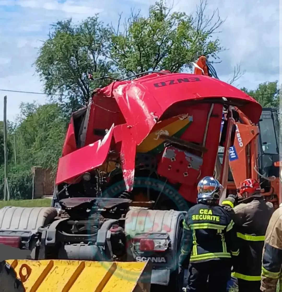 WhatsApp Image 2026-01-28 at 00.08.16camion3