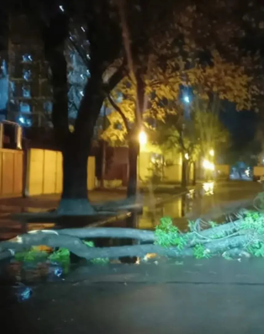 temporal1