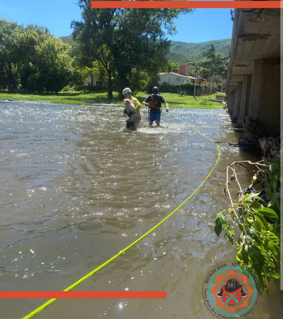 WhatsApp Image 2026-02-10 at 22.01.26rescate5