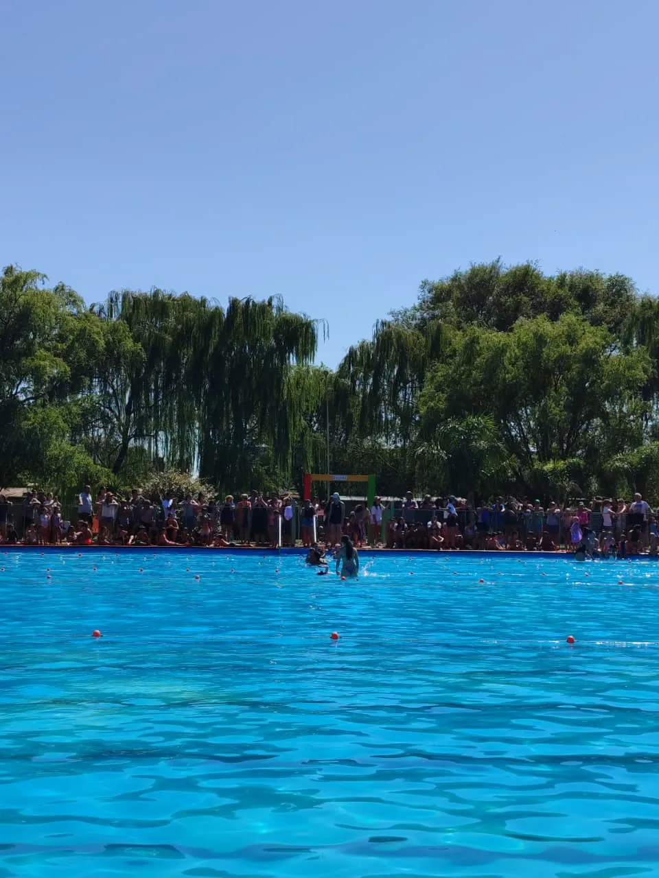 WhatsApp Image 2026-01-31 at 10.08.16escuala verano606060