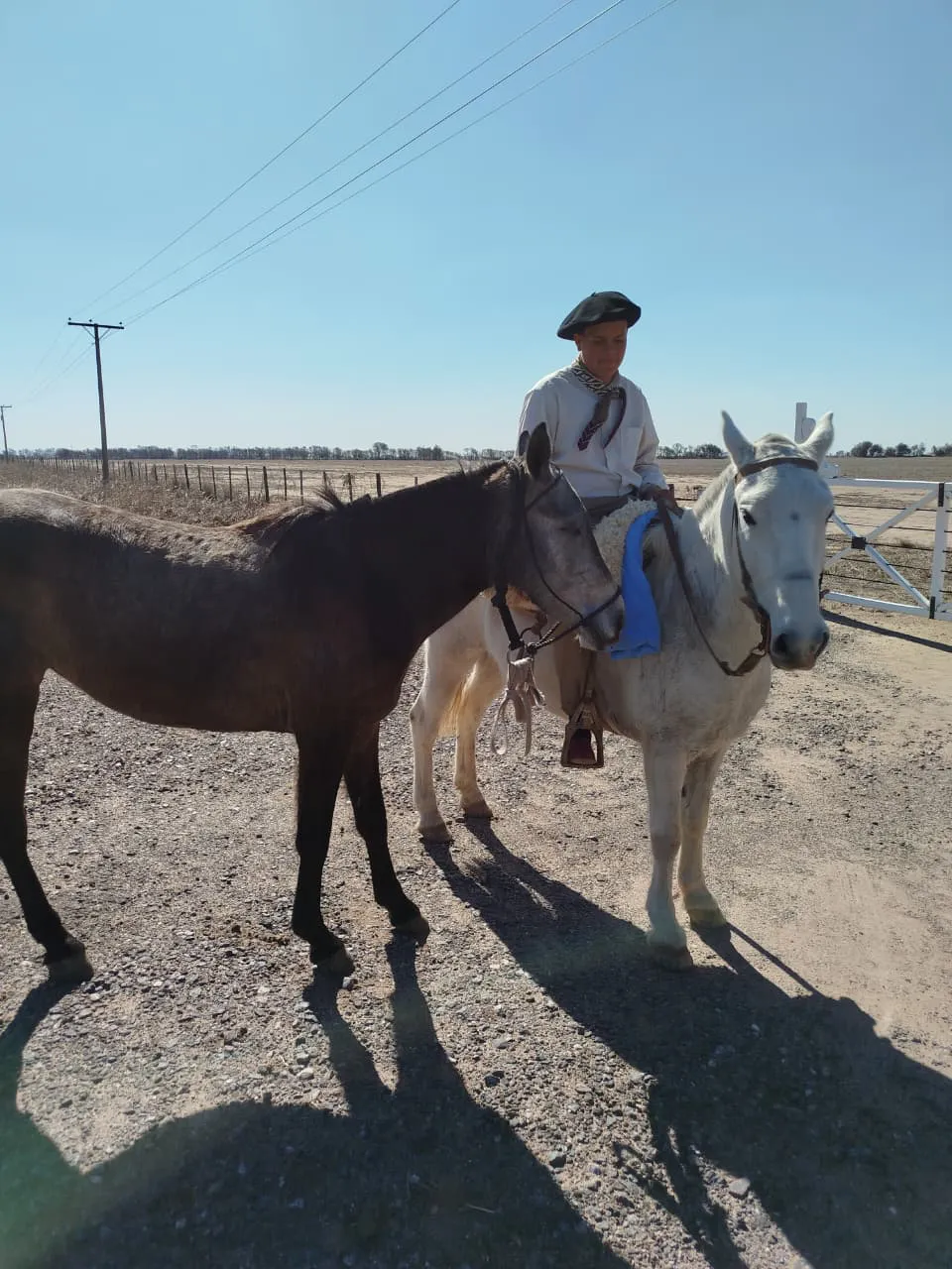 cabaslgata san martin otra