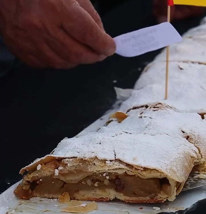 99dfe3f6-1379-4b81-aeae-b447828ecb47STRUDEL3