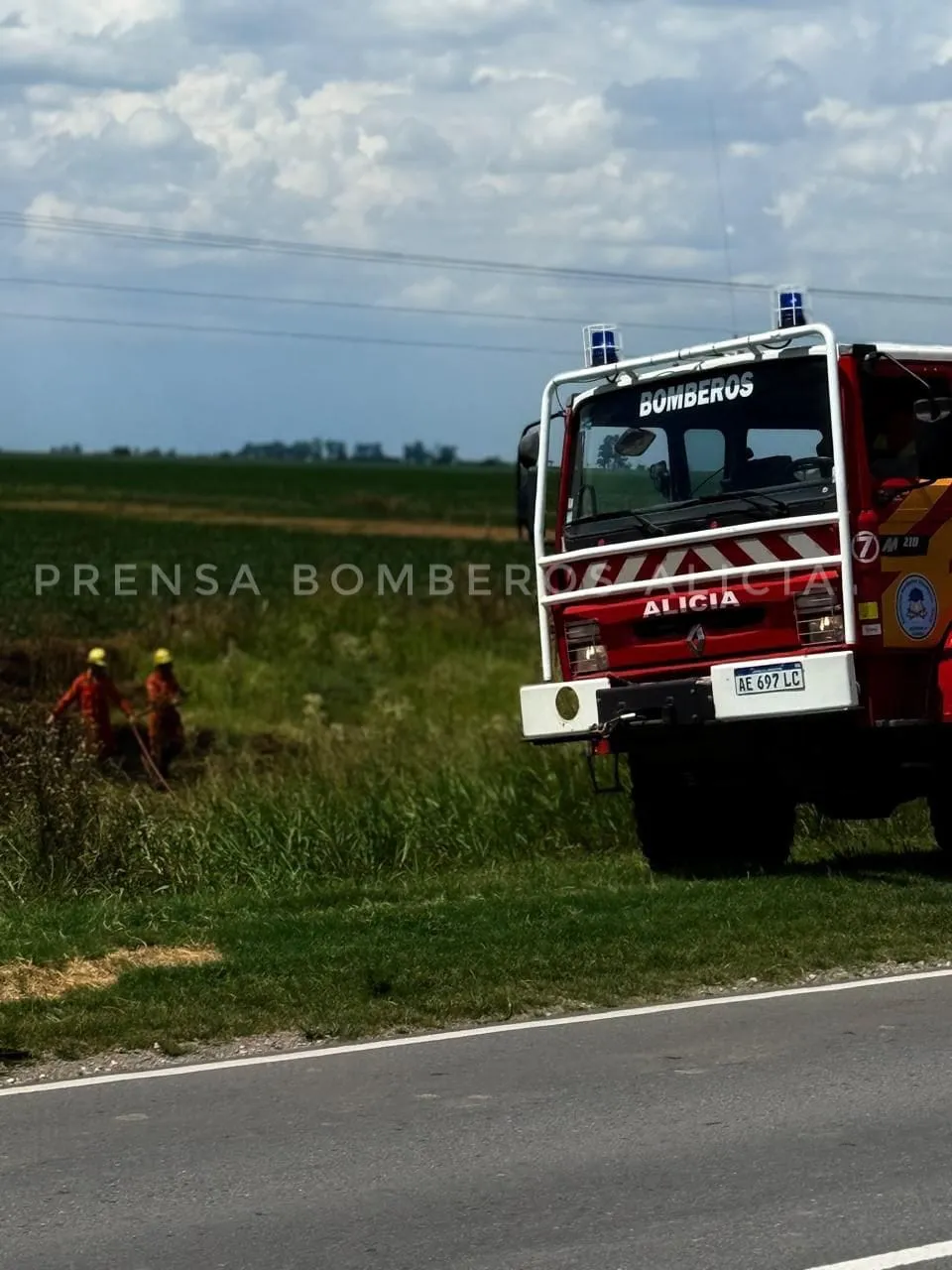 WhatsApp Image 2026-01-31 at 21.14.37bomeros alicia33