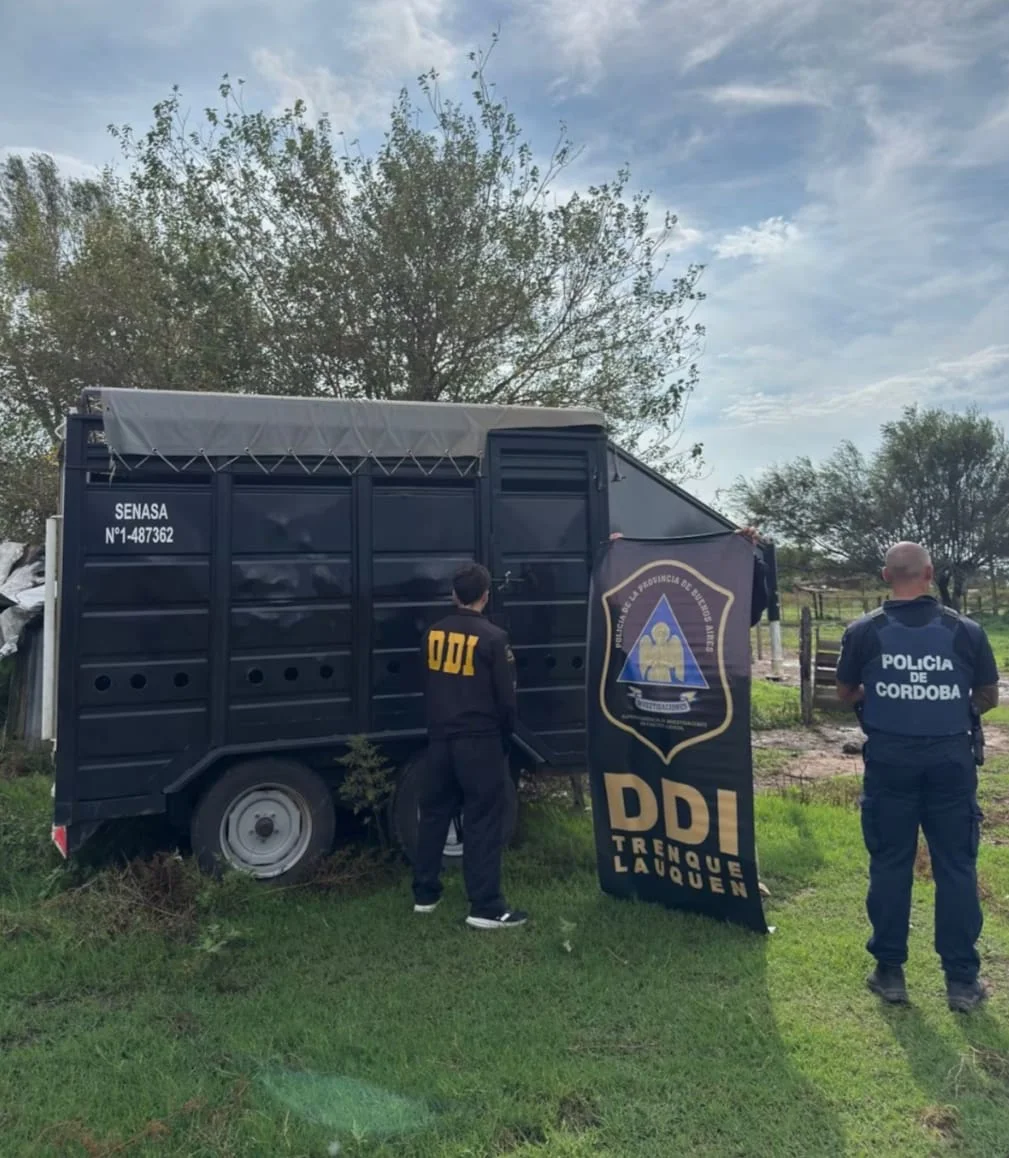 WhatsApp Image 2026-04-10 at 21.18.27hallanamineto2