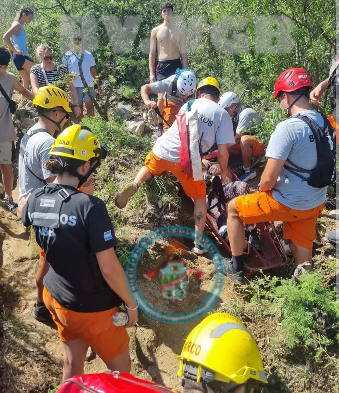 WhatsApp Image 2026-04-03 at 18.35.22rescate44