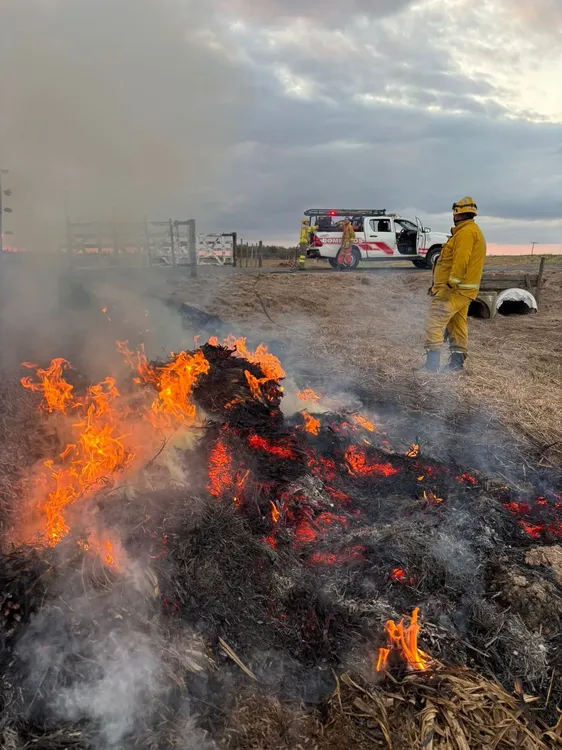 incendio pastizales33