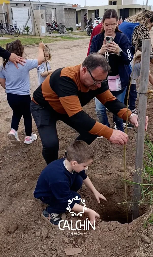 plantacion de arboles3