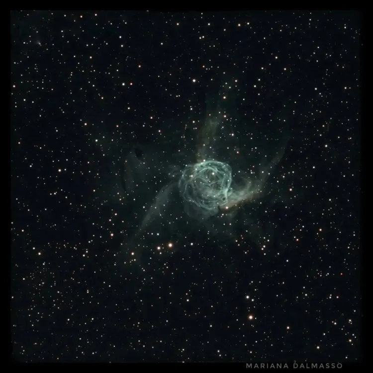 WhatsApp Image 2026-04-09 at 21.37.41univewrso1