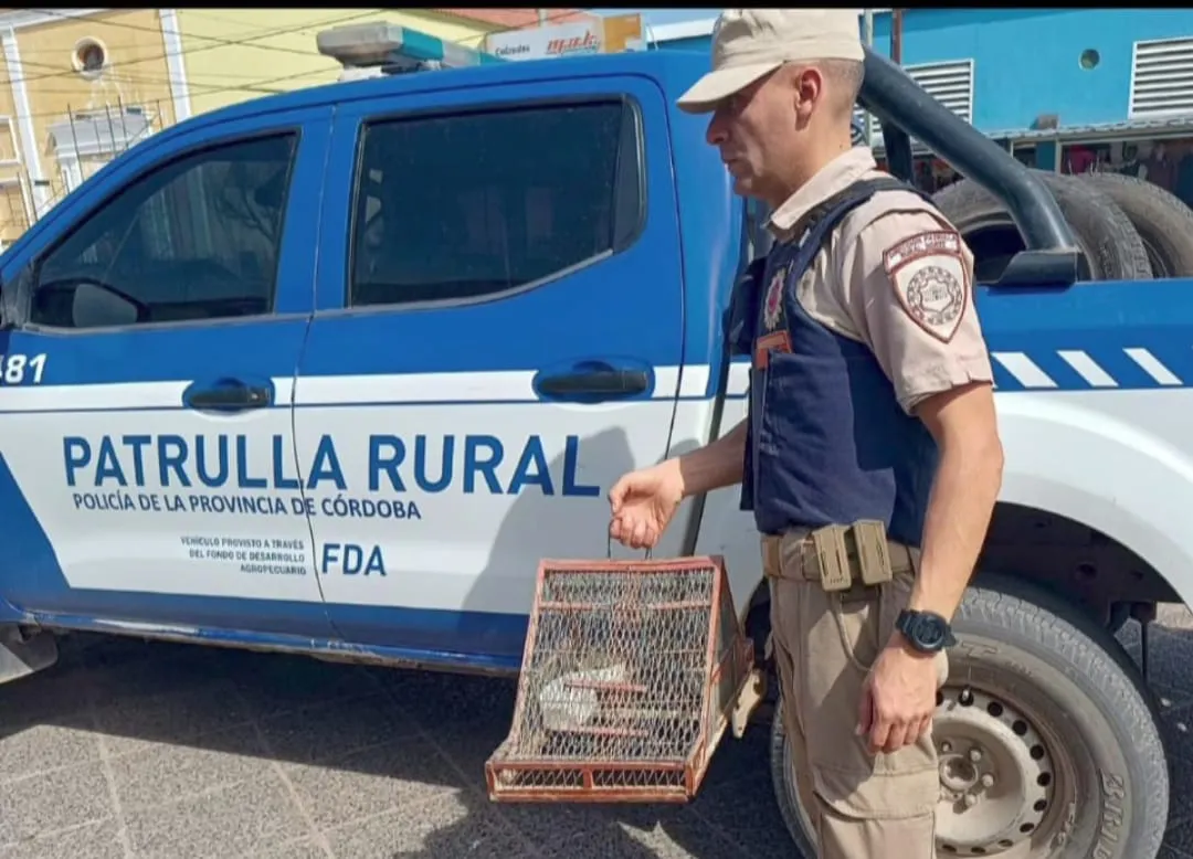 patrulla rural portada