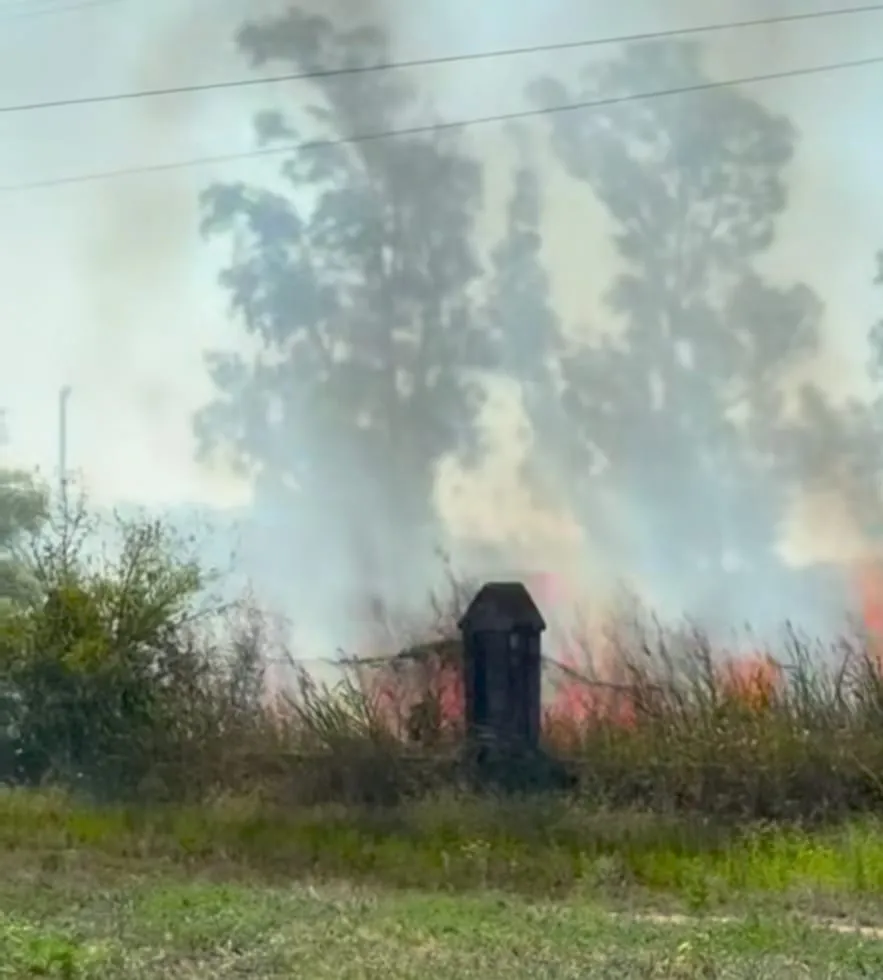 WhatsApp Image 2026-01-26 at 00.12.53arroyitom imcendio1