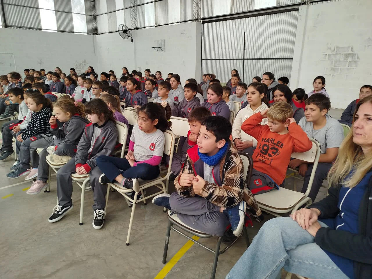 WhatsApp Image 2026-05-01 at 21.47.55alicinota2