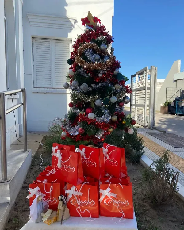 WhatsApp Image 2025-12-23 at 10.20.12deheza393939