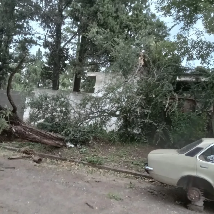 temporal santa riosa 2