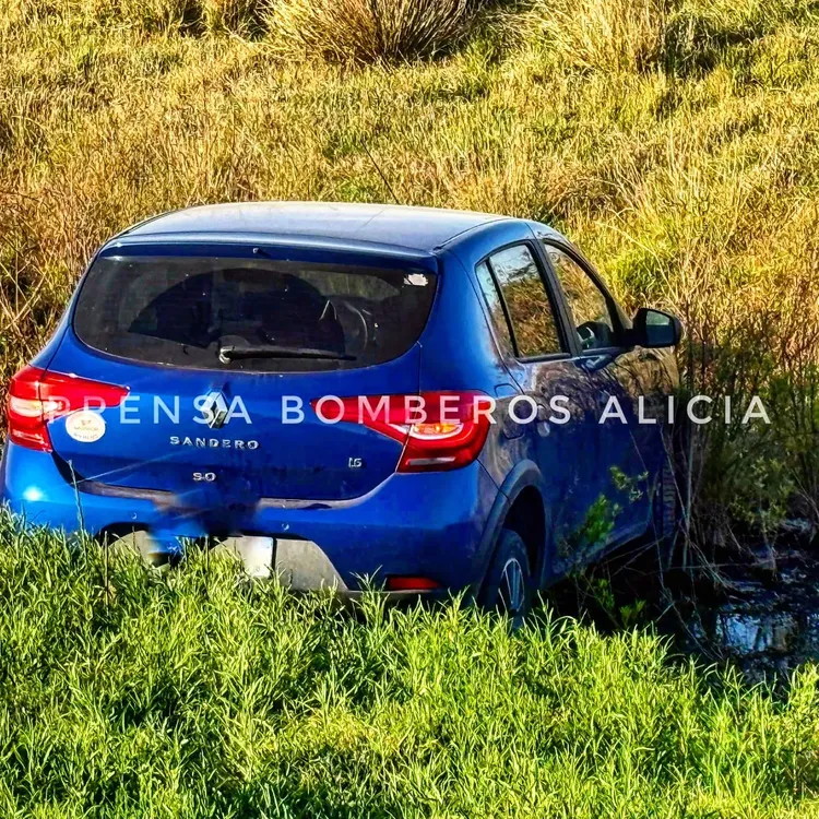 despiste alica1