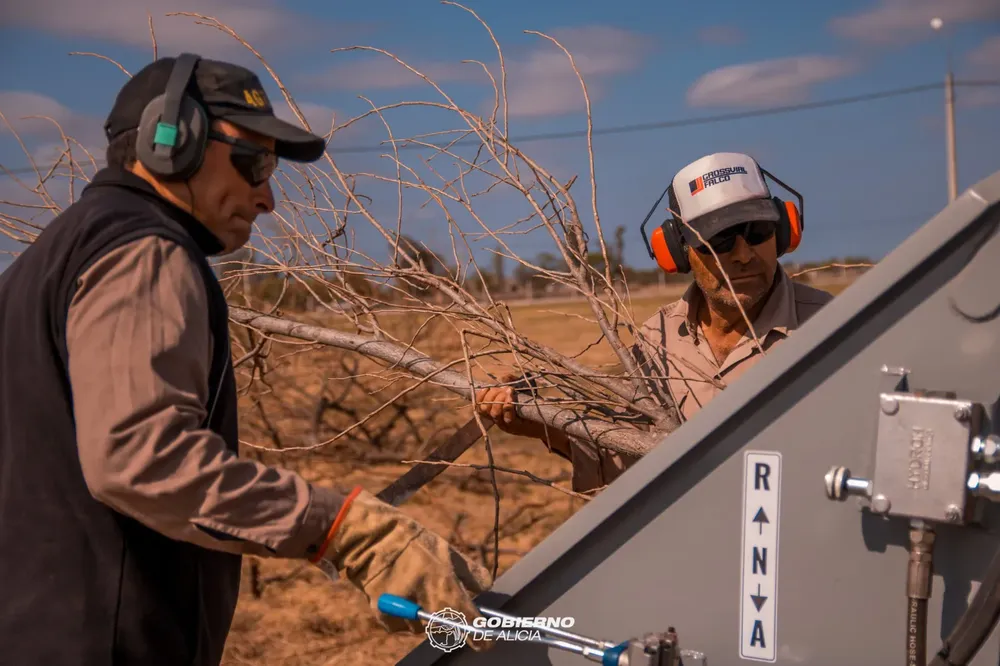 maquina alicia portada