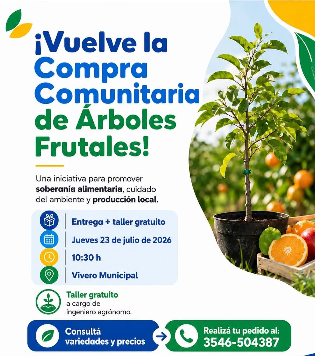 WhatsApp Image 2026-06-16 at 21.19.31arboles6