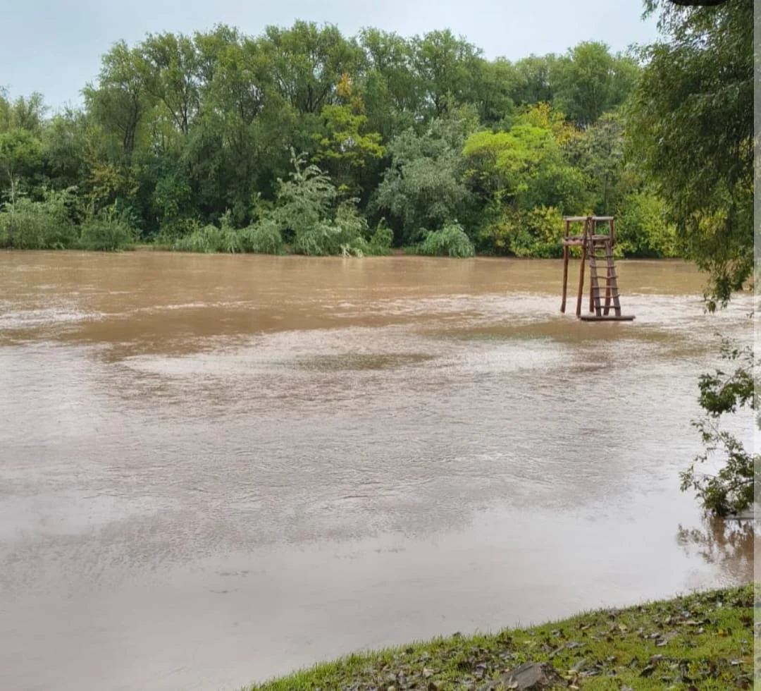 WhatsApp Image 2026-04-04 at 15.05.52xanea1