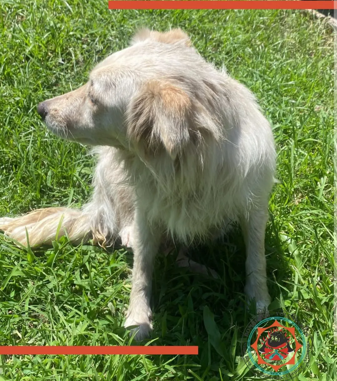 WhatsApp Image 2026-02-10 at 22.01.25pero999