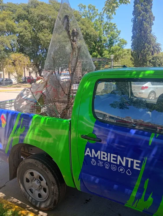 WhatsApp Image 2026-01-08 at 09.31.23monito2