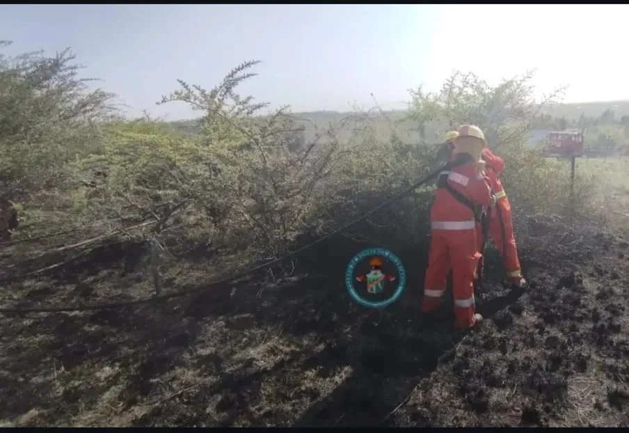 bomeros belgrano sabado 113