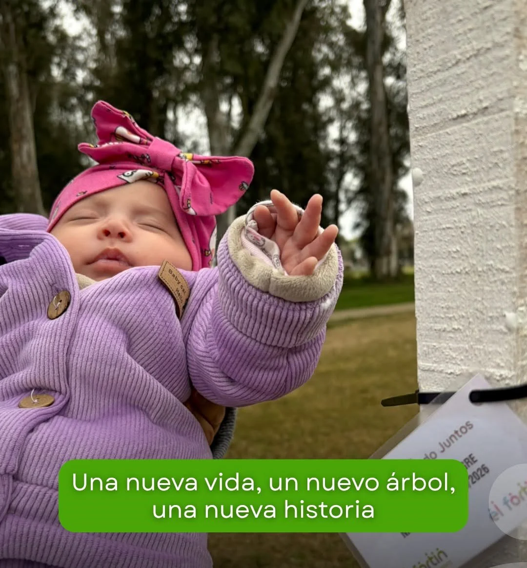 ebcdb9bd-31cb-46cc-84b8-ad20fa40f922arbol23