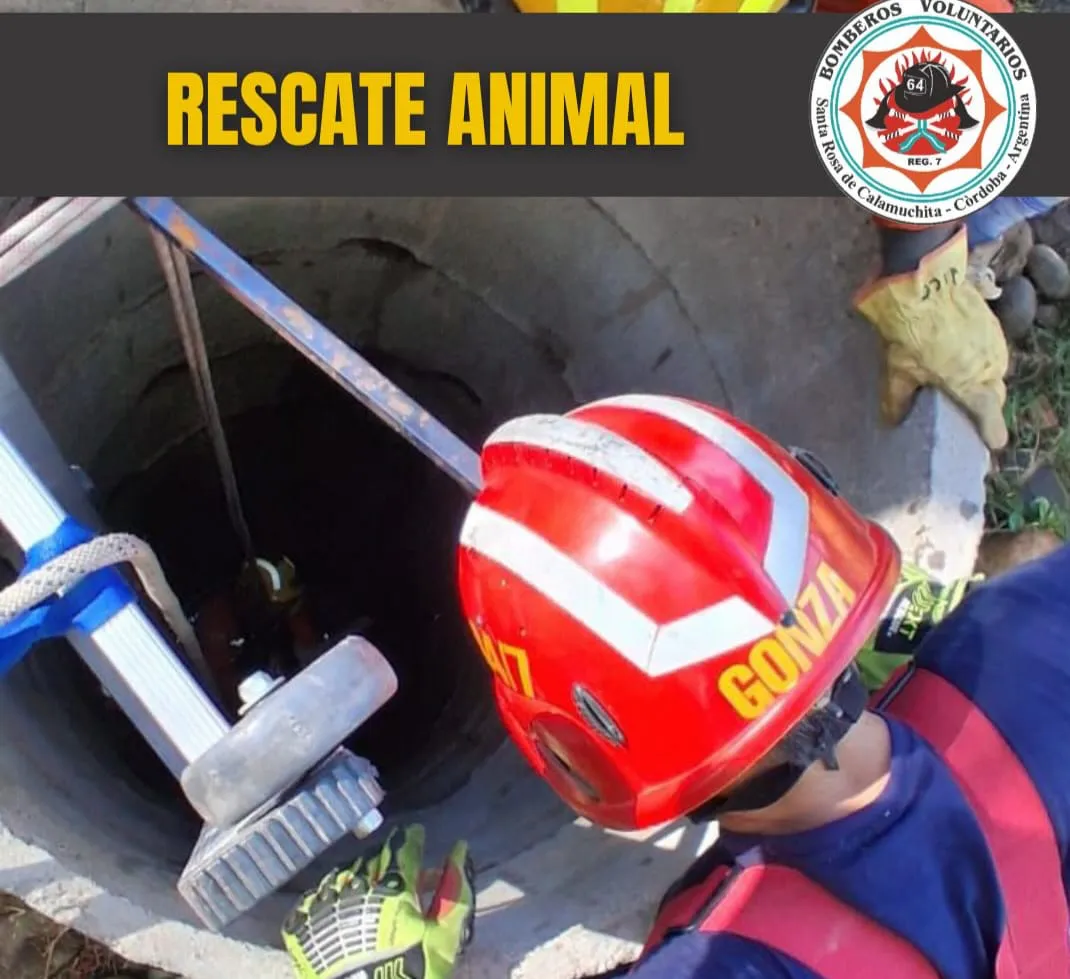 WhatsApp Image 2026-02-10 at 21.59.51rescate3