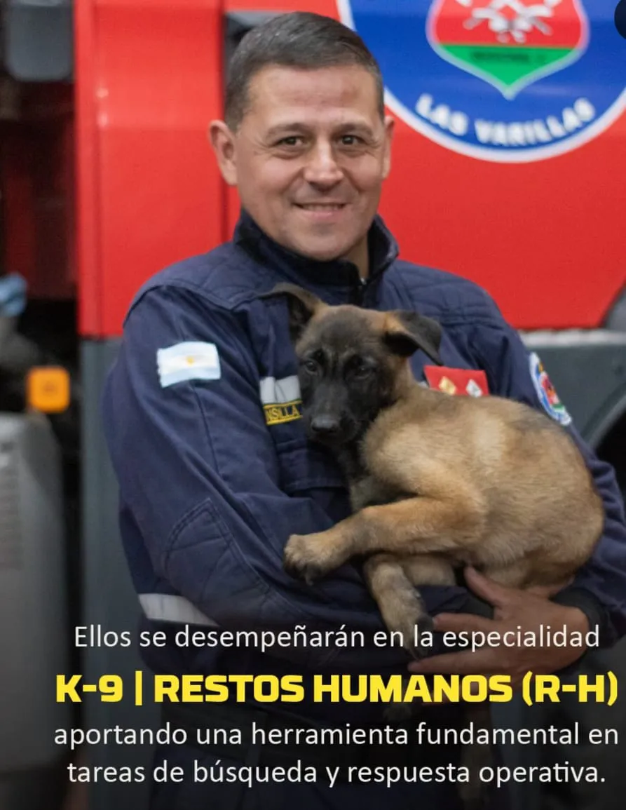 WhatsApp Image 2026-01-29 at 20.48.09K93