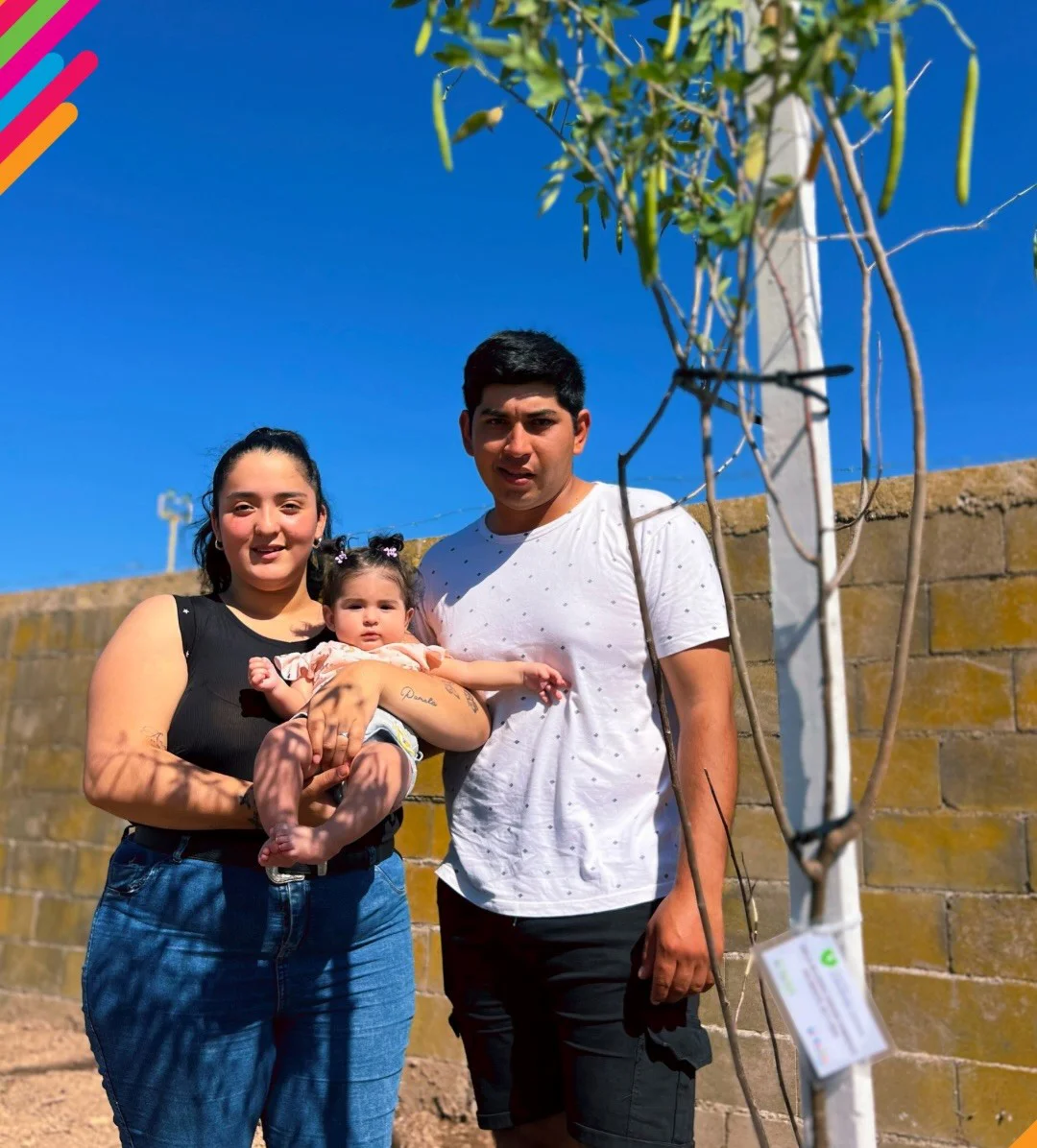 WhatsApp Image 2026-04-01 at 20.50.38arvboles4