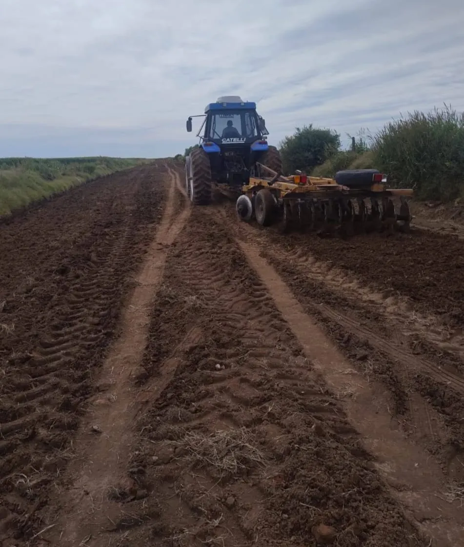 WhatsApp Image 2025-12-19 at 17.59.20caminetro444