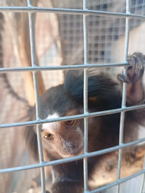 WhatsApp Image 2026-01-08 at 09.31.23monito55