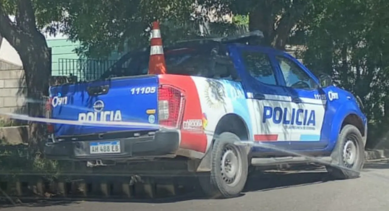 WhatsApp Image 2026-02-09 at 10.33.43plocia 509505