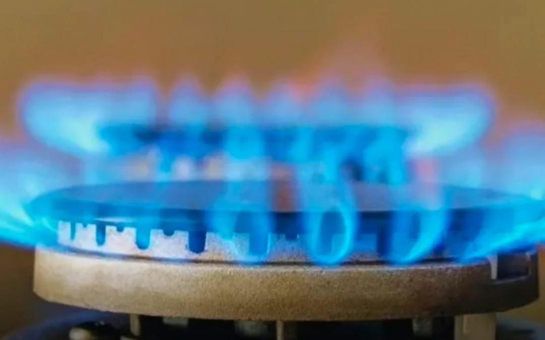 ef1ed499-03fe-4071-8346-3d6bc050782cFUEGO55