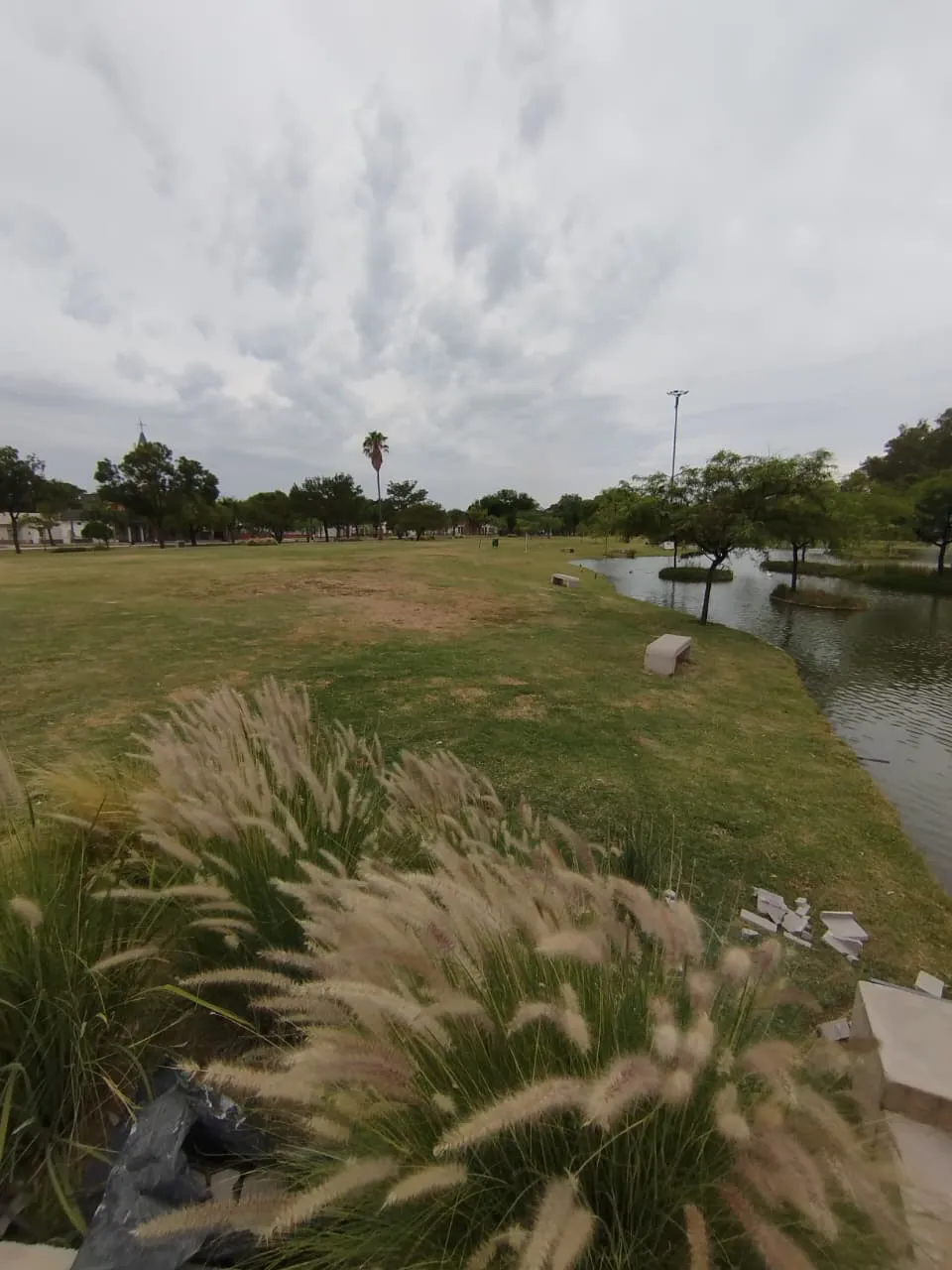 WhatsApp Image 2026-01-20 at 09.17.01cine2