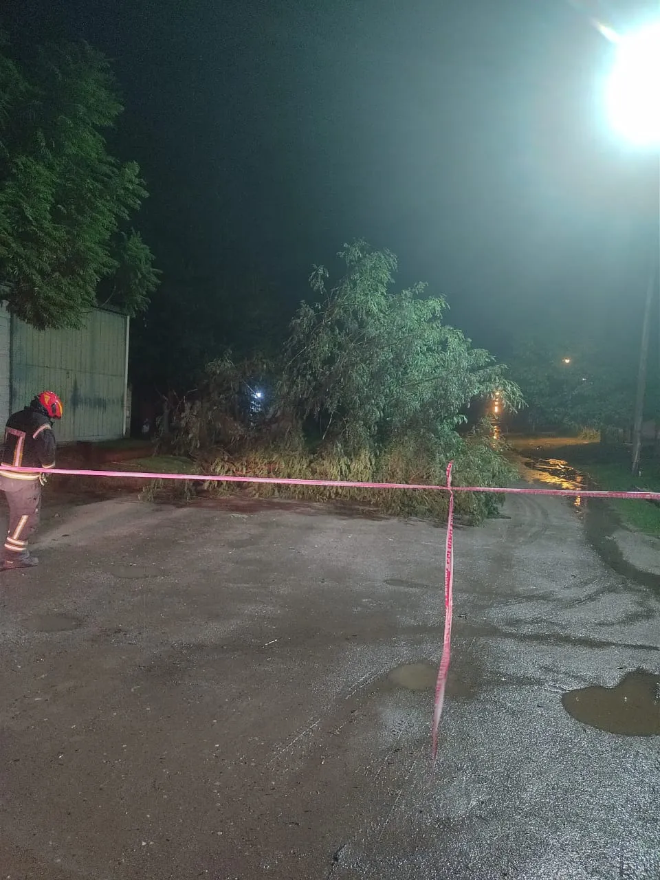 bobmeros san justro 2