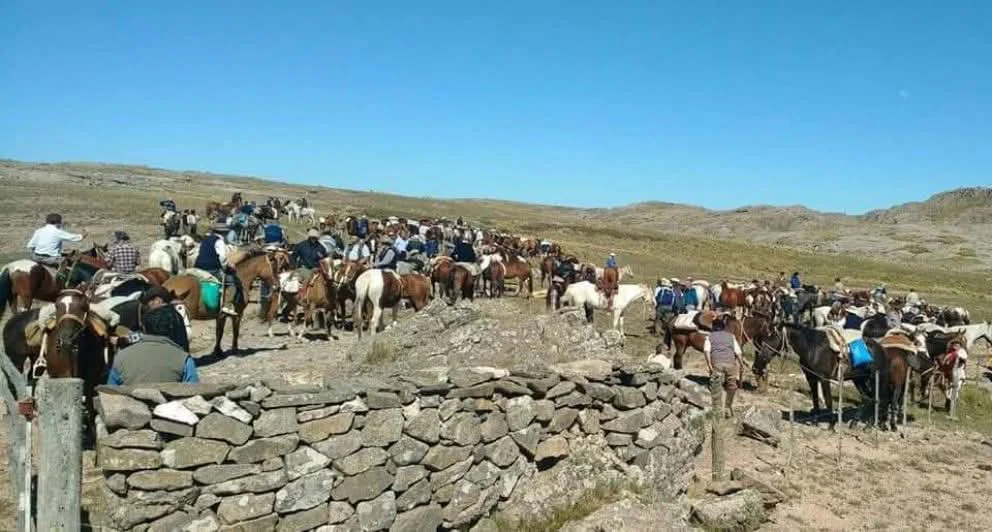 WhatsApp Image 2026-03-24 at 21.16.42ginetes1