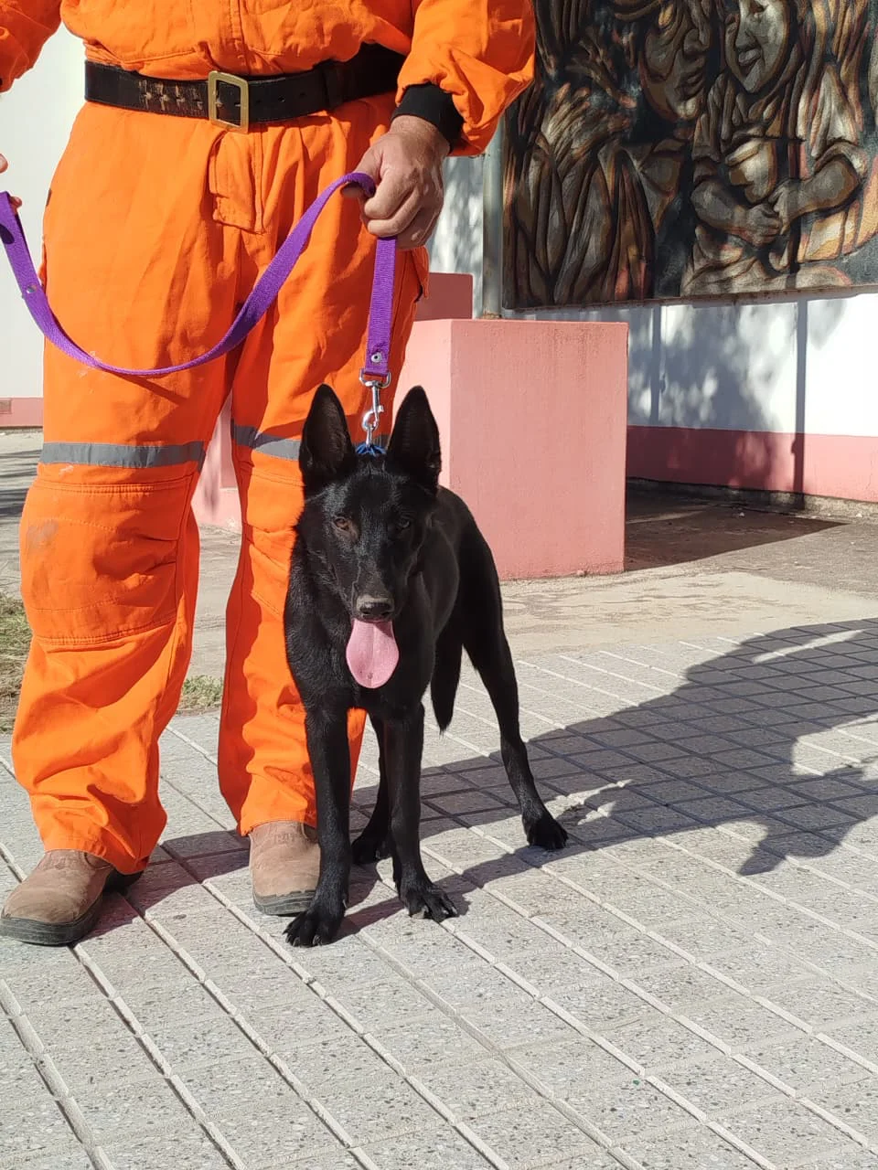 WhatsApp Image 2026-03-02 at 22.26.37k93