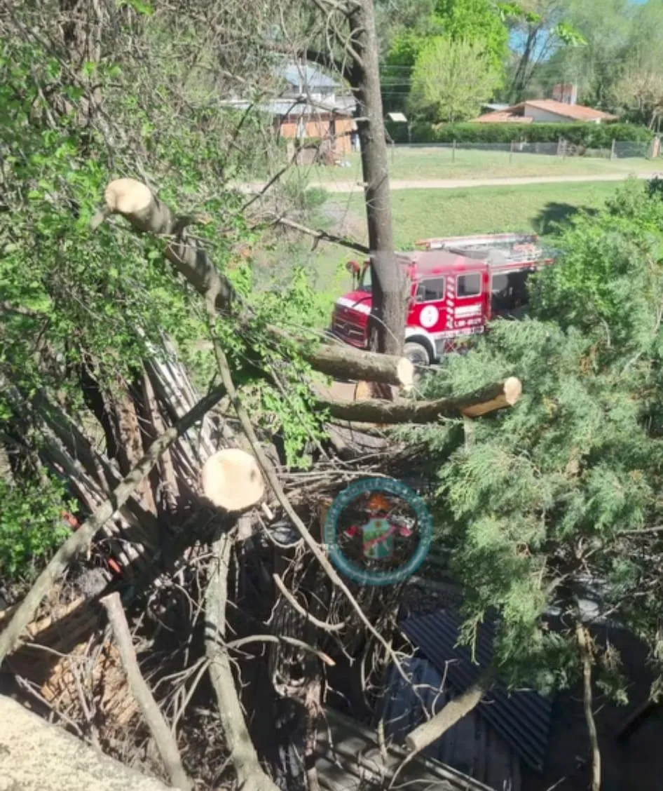 bomertos belgrano999