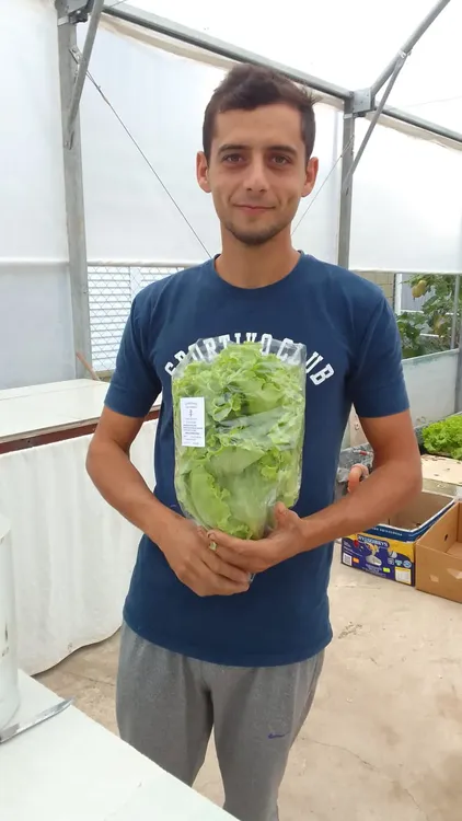 hidroponia1