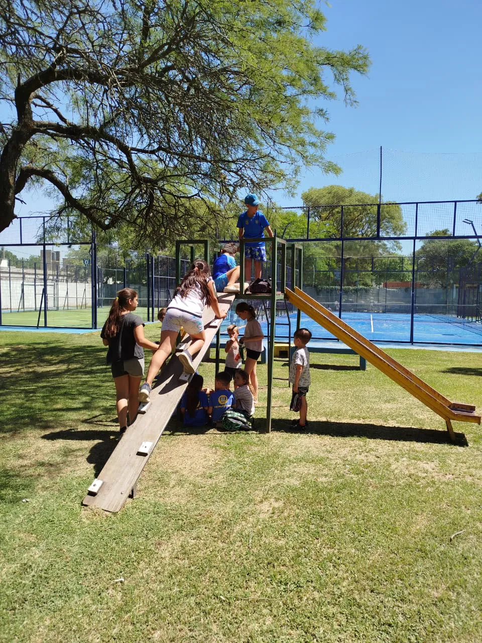 WhatsApp Image 2025-12-18 at 08.20.42escual verano555ali