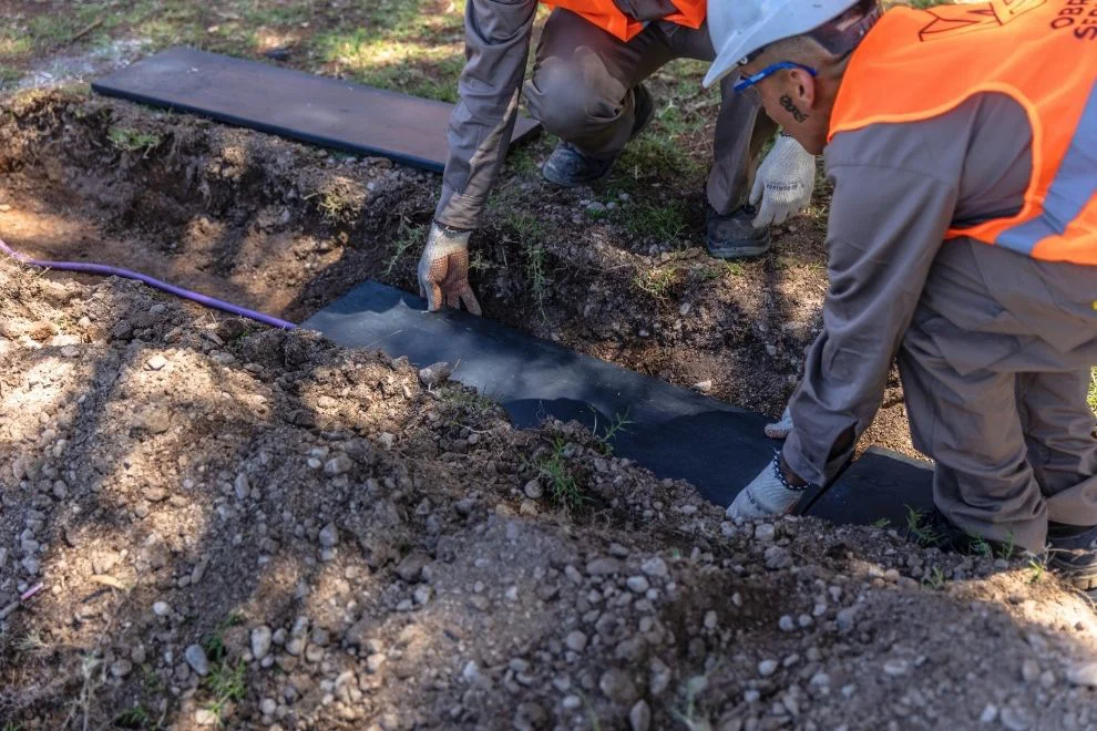 WhatsApp Image 2026-04-06 at 21.22.20las vsarillas1