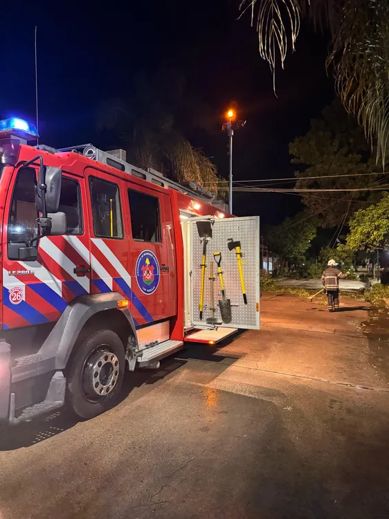 las varillas temporal4