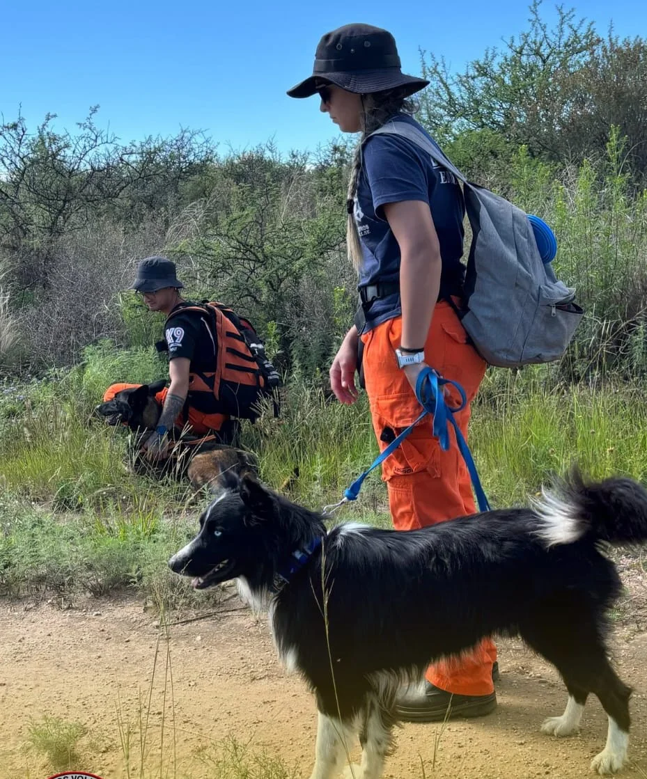 WhatsApp Image 2026-03-24 at 21.19.54bbomerosd66